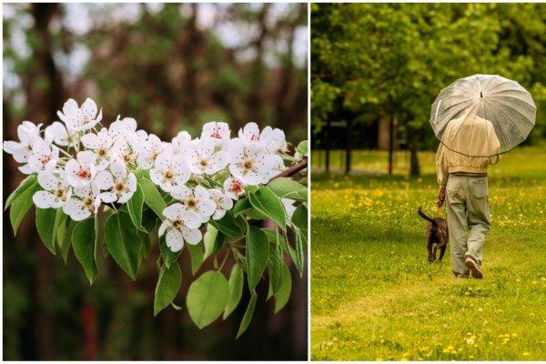 Cum va fi vremea p&acirc;nă pe 8 iunie 2026! Prognoza meteo completă pentru București și toată țara pentru 12 mai-8 iunie 2026