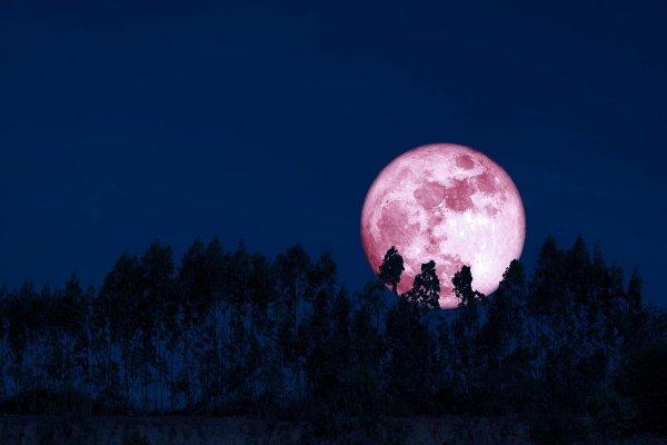 C&acirc;nd va avea loc Luna Căpșună din iunie 2026. E diferită față de orice altă Lună Plină
