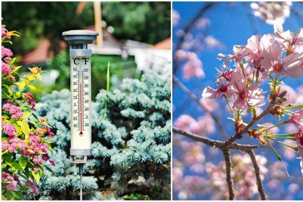 Cum va fi vremea p&acirc;nă pe 13 aprilie 2026! Prognoza meteo completă pentru București și toată țara pentru 17 martie-13 aprilie 2026