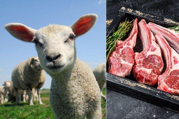 C&acirc;t costă carnea de miel &icirc;nainte de Paște &icirc;n 2026. Cu c&acirc;t diferă prețurile față de anul 2025