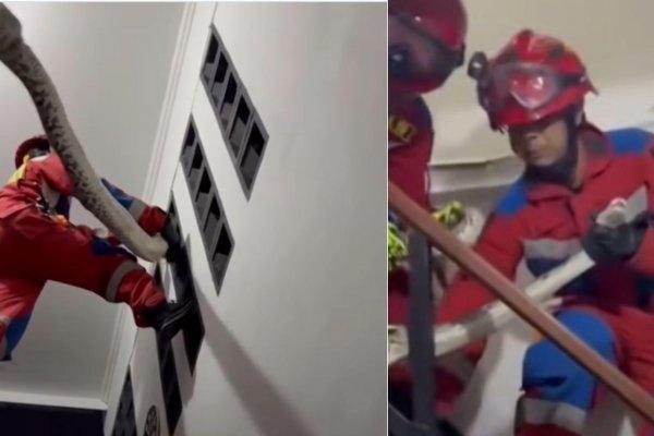 Un bărbat a găsit un piton uriaș &icirc;n propria casă. Unde se ascundea șarpele de 3,5 metri | VIDEO