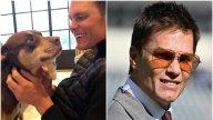 Tom Brady și-a clonat câinele. Fotbalistul a dezvăluit de ce a apelat la soluția neobișnuită acum mai bine de 2 ani
