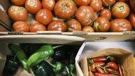 Cum arată cămara Ginei Bradea după pregătirile pentru iarnă. Ce are celebra bucătăreasă pe rafturi: &bdquo;Consumăm aproape tot&rdquo;