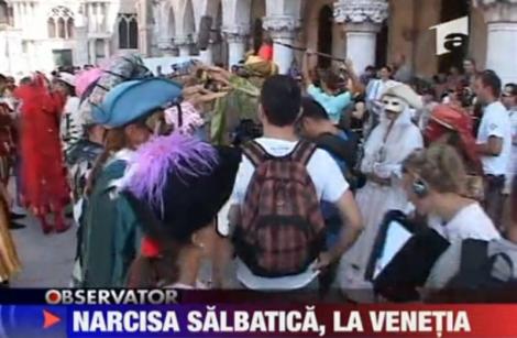 VIDEO! Narcisa salbatica se filmeaza la Venetia