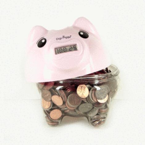 Economiseste bani mai simplu cu pusculita Digi-Piggy