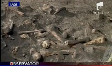VIDEO! Cimitir vechi de sute de ani descoperit in Iasi