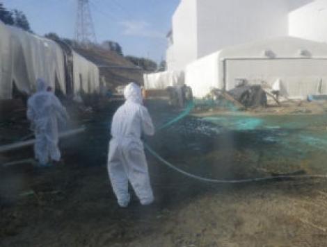 Disperare la Fukushima: Crapaturile sunt astupate cu rumegus si ziare