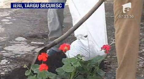 Targu Secuiesc: Un barbat a plantat flori intr-o groapa din carosabil