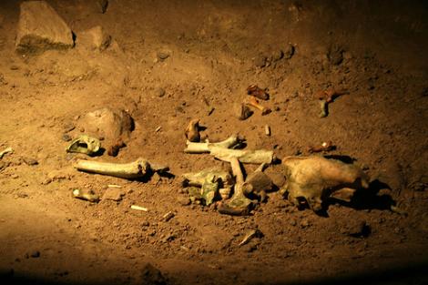 Oseminte de homo sapiens, vechi de 32.000 de ani, descoperite in Crimeea