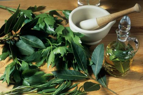 Trei plante aromate folosite la gatit, cu beneficii asupra sanatatii