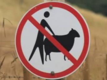 Человек родившийся на стыке двух знаков. Знак козлам вход запрещен. Смешные знаки запрета коровы. Корова запрет. Знаки запрета Выпас скота.