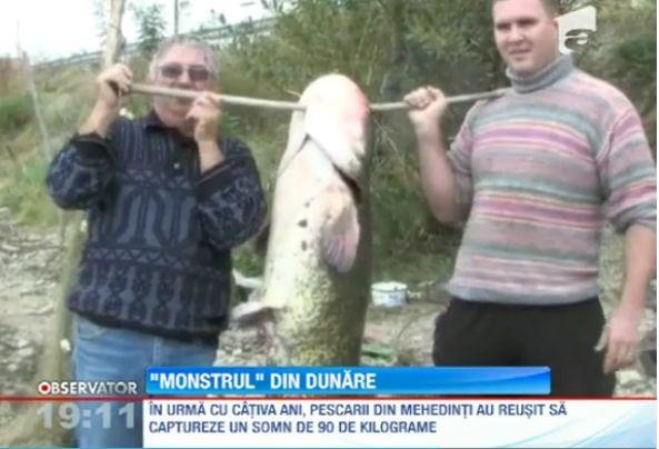 Ce Cantareste Mai Mult De O Tona Somn urias prins in Dunare! Monstrul cantareste 50 de kilograme | Antena 1