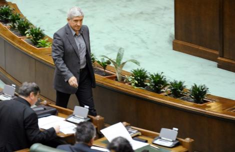 Senatul a decis: Mircea Diaconu ramane parlamentar