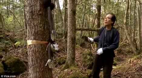 Meserie inedita: un japonez studiaza zi de zi cadavrele unor sinucigasi