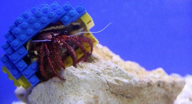 FOTO! Vezi cum arata crabul cu carapace din lego!