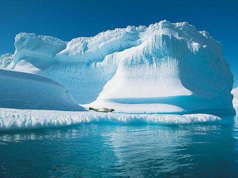 Pericol: Gheata de la Polul Nord se va topi in patru ani!