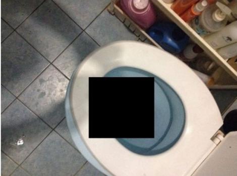 Un bărbat a fost șocat după ce a mers la toaletă. "Am încremenit când am văzut ce ieşea din WC"