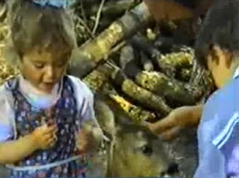 VIDEO | Imagini emoționante cu Aura Ion, când era copil! La doi și 11 ani