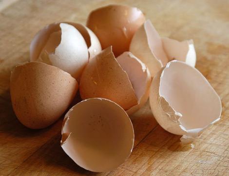 Ce se întâmplă dacă pui coji de ou în mașina de spălat! Răspunsul e surprinzător!