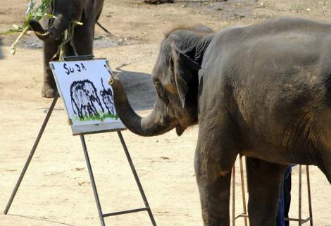 UIMITOR! Un elefant PICTEAZĂ.... un elefant şi îşi scrie numele pe foaie! N-ai mai văzut niciodată aşa ceva!