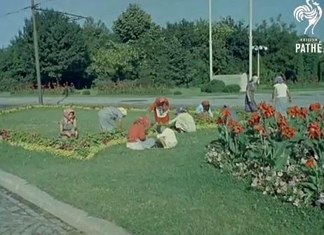 VIDEO de colecție! Curat și aerisit! Așa arăta Bucureștiul în anii '60