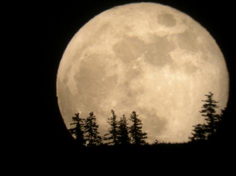 Fenomen astronomic spectaculos: Super Luna va cuceri cerul în această noapte!
