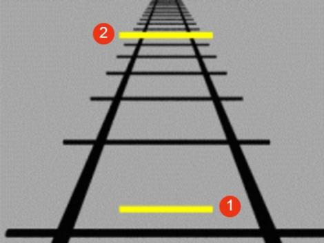 Care dintre linii este mai lungă? Testul care-ți verifică vederea!