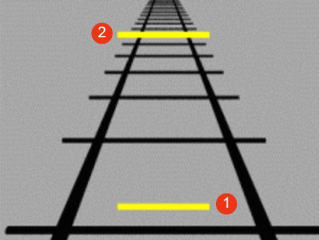 Care dintre linii este mai lungă? Testul care-ți verifică vederea!