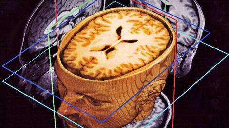 Din filmul „Inception“ în realitate: Cercetătorii au implantat amintiri false în creier