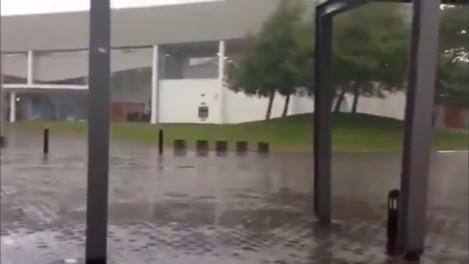 VIDEO: I-a stat inima în loc când a văzut asta! Ce s-a întâmplat în timp ce filma o ploaie de vară! Totul a fost ÎNREGISTRAT