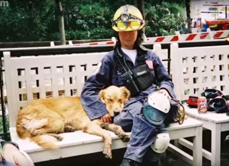 Ultimul câine erou, implicat în misiunea de salvare după atentatul de la 11 septembrie! „Era praf, haos și carnagiu în jur, dar nu s-a oprit”