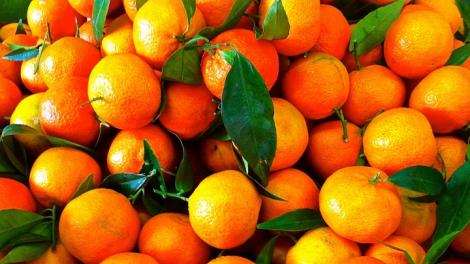 Mănânci clementine cu frunze în această perioadă a anului? Trebuie neapărat să ştii asta!