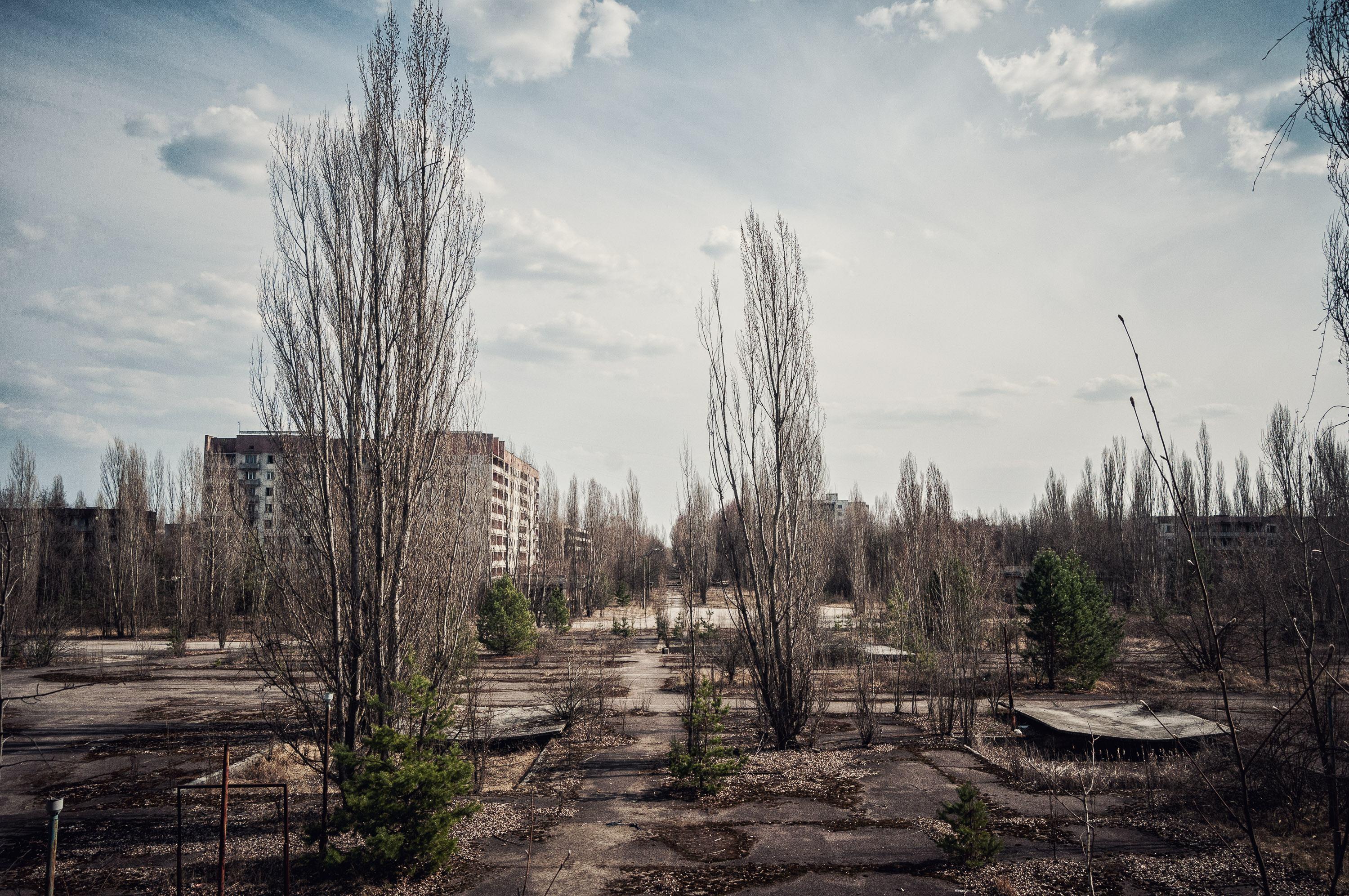 Чернобыль перерождение