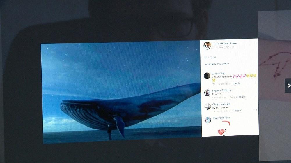 Cum Se JoacÄ Balena AlbastrÄ Èi Ce Sarcini Primesc Tinerii Care AcceptÄ Provocarea Antena 1