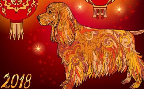 Horoscopul chinezesc vine cu vești importante! Anul Câinelui de Pământ a pregătit tuturor surprize uriașe! Cine plânge și cine se îmbogățește?