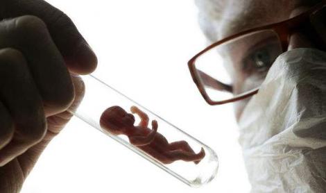 Cazul bebelușilor modificați genetic a declanșat revoltă în rândul oamenilor. China solicită deschiderea unei anchete