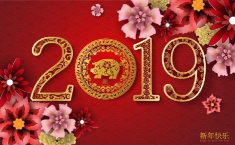 Horoscop chinezesc 2019. Anul Mistrețului aduce numeroase schimbări