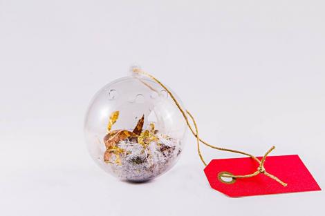 Ghidul cumpărătorului de cadouri V: inspirație marină pentru darurile de Crăciun? Cele mai interesante aranjamente hand-made cu licheni și scoici. Unde le găsești în București?