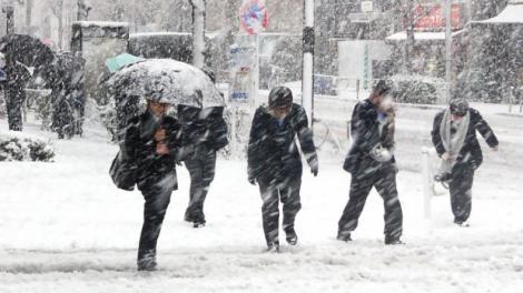 Ninsorile şi frigul pun stăpânire pe România! Prognoza METEO pe două săptămâni. Anunţul făcut de meteorologi!