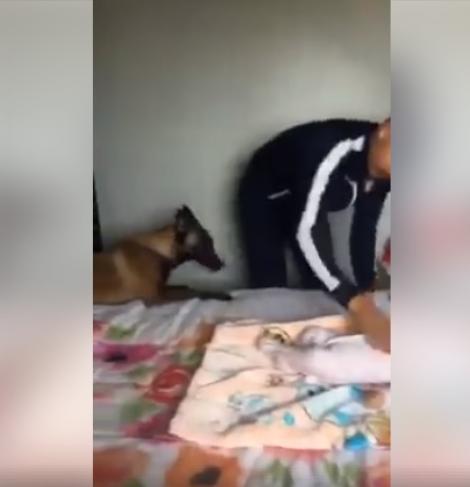 Un bărbat a vrut să lovească un bebeluș, dar câinele a avut o reacție de milioane! Ce a făcut animalul (VIDEO)