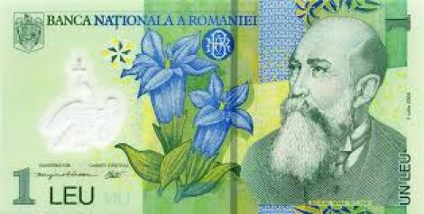 Curs valutar 2 mai. Leul românesc, zdrobit de monedele internaționale