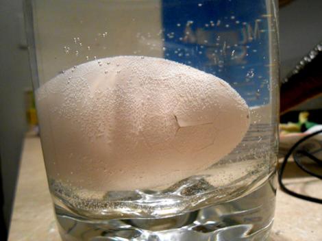 Foto VIRAL! A pus un ou într-un pahar cu apă. După 23 de ore, s-a speriat de ce a ieşit din el: "Nu îmi venea să cred"