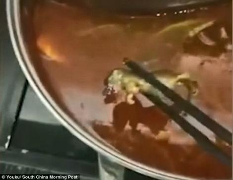 Ce a găsit o gravidă în supa de la restaurantul chinezesc: ”Te plătim ca să avortezi!”