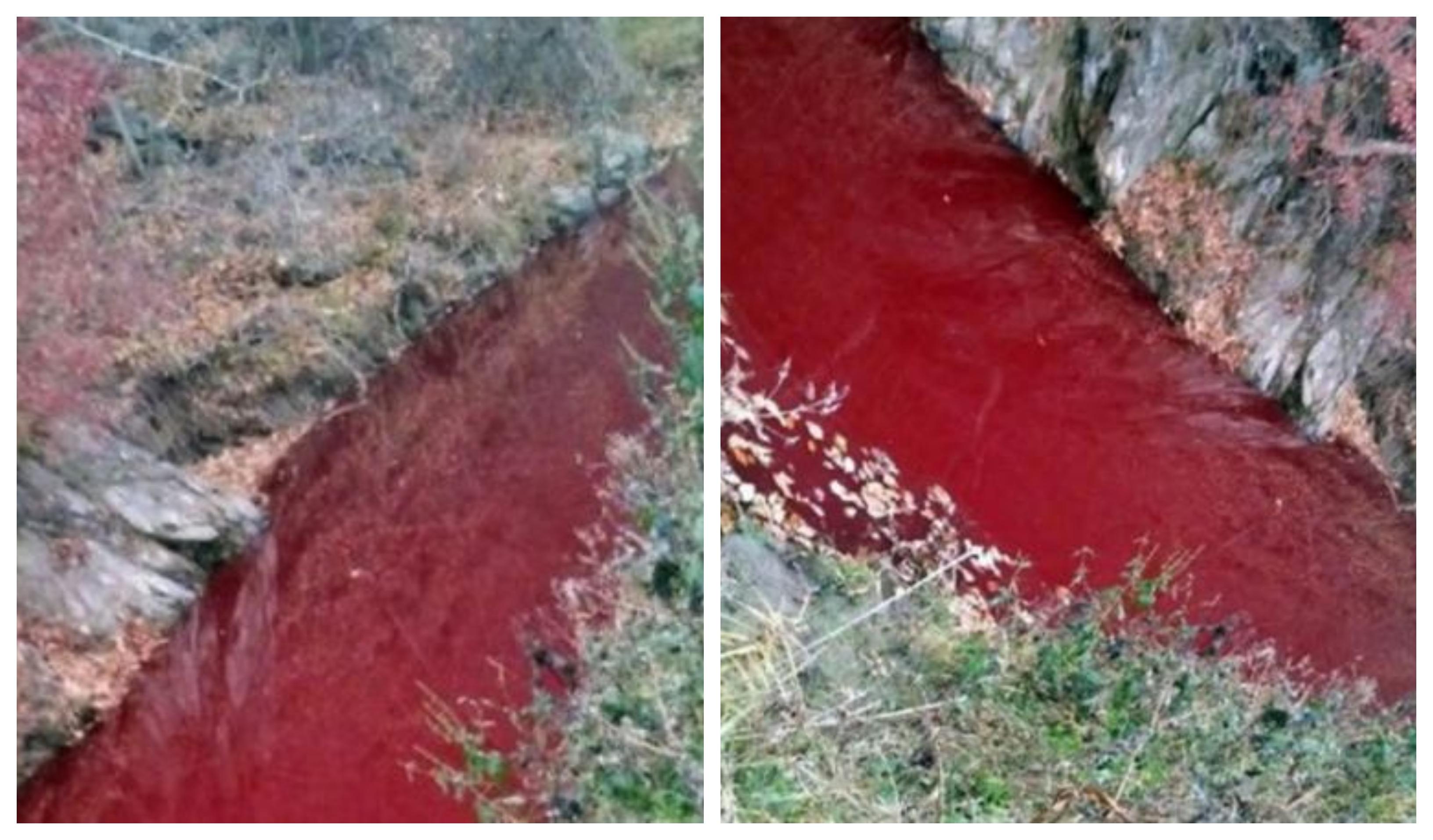 Imagini tulburătoare! Apa unui râu s-a transformat în sânge! Motivul este uluitor! Autoritățile au intervenit de urgență