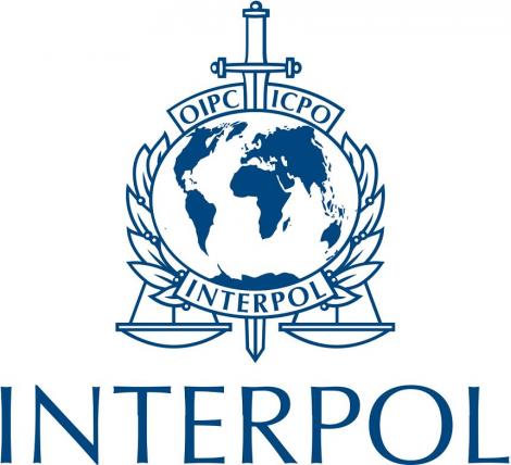 Interpolul va condamna răspândirea pe scară largă a criptării, care favorizează infractorii