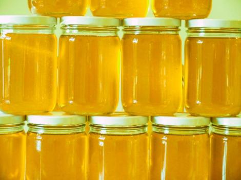 S-a demonstrat! Mierea românească, un antibiotic mai puternic decât mierea de Manuka! Ce proprietăți binefăcătoare are