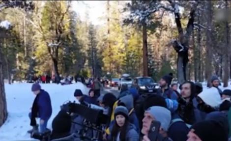 Au filmat totul! Un fenomen bizar, surprins de sute de oameni într-o pădure (VIDEO)