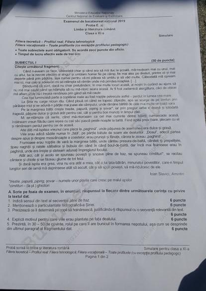 Subiecte Simulare Bac 2019 Limba RomanÄ Avem Subiectele Clasa 11 Real Antena 1