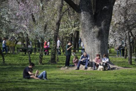 Vremea Bucuresti Maine Citeste Toate Articolele Despre Vremea Bucuresti Maine Pagina 2 Din 3 Antena 1