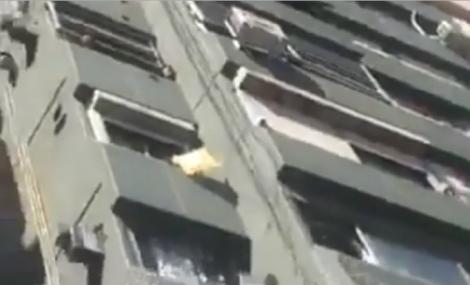 Câtă cruzime! A aruncat un câine de la etajul 5 și le-a trimis bezele trecătorilor! Momentul a fost filmat! Atenție, imagini tulburătoare – Video
